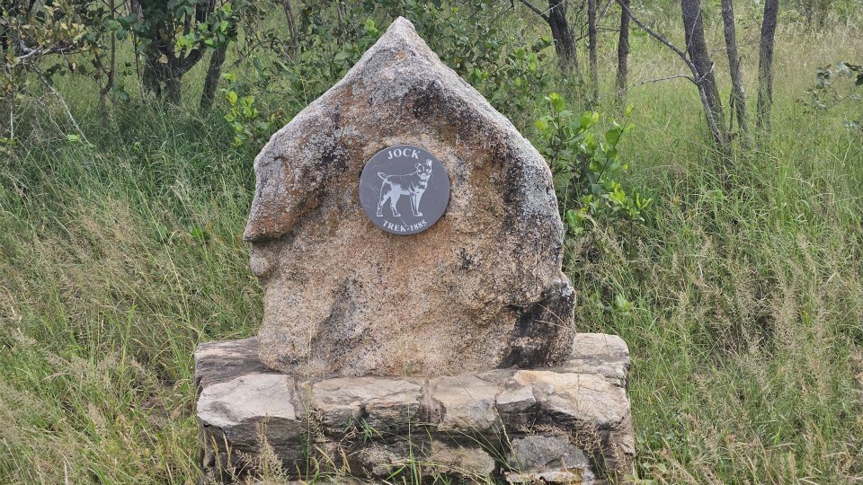 <h2>The Best of South Africa Escorted 2023</h2> 14 Nights | 6 Rounds | March 11 - 25